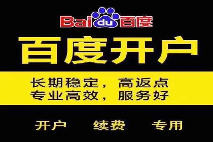 案例分析：竞价推广助力企业打造爆款产品